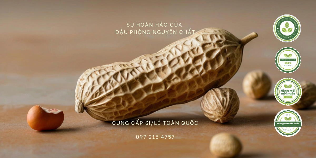 Dau Phong